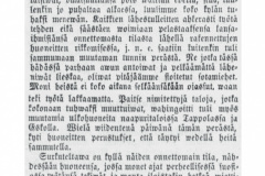 HeiskalanjaPoltinPalo1856