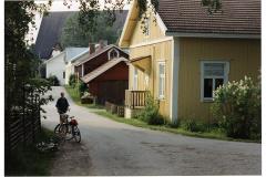 Mikonheikki